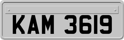 KAM3619