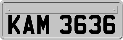 KAM3636