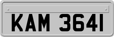 KAM3641