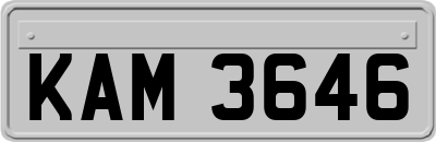 KAM3646