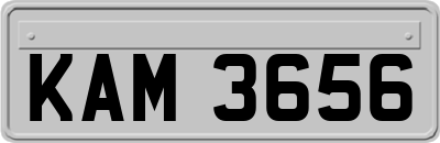 KAM3656