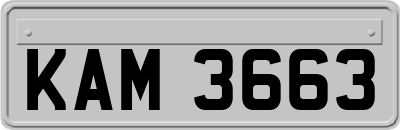 KAM3663