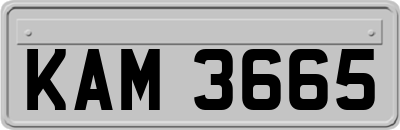 KAM3665