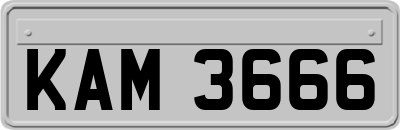KAM3666