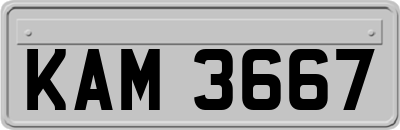 KAM3667
