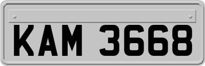 KAM3668