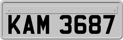 KAM3687