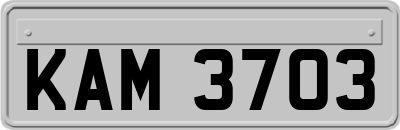 KAM3703