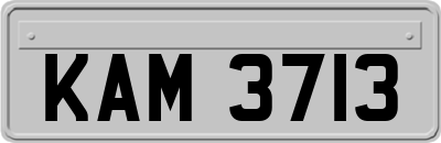 KAM3713