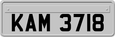 KAM3718