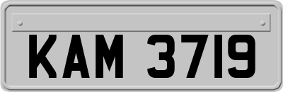 KAM3719