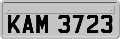 KAM3723