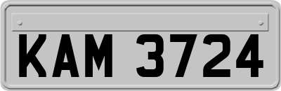 KAM3724