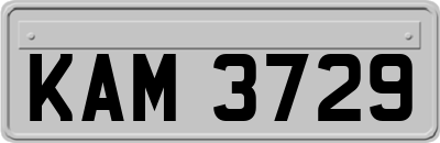 KAM3729