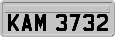 KAM3732