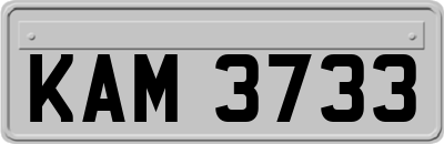 KAM3733