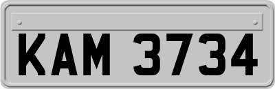 KAM3734