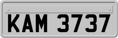 KAM3737