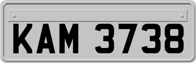 KAM3738