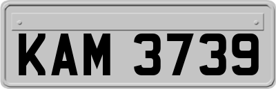 KAM3739
