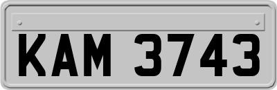 KAM3743