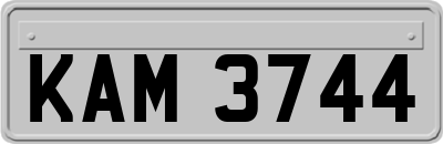 KAM3744