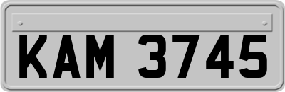 KAM3745