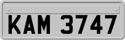 KAM3747