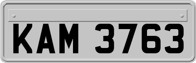 KAM3763