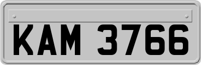 KAM3766
