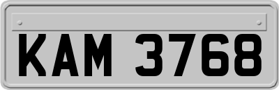 KAM3768