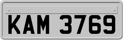 KAM3769
