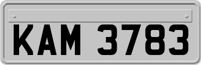 KAM3783