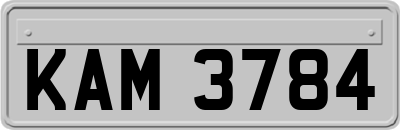 KAM3784