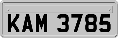 KAM3785