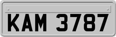 KAM3787