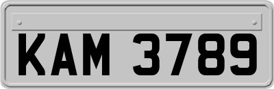 KAM3789