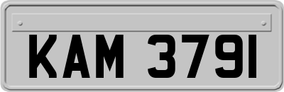KAM3791