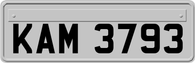 KAM3793