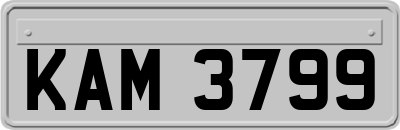KAM3799