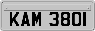 KAM3801