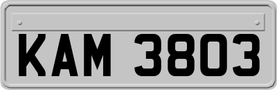 KAM3803