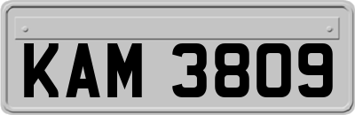 KAM3809