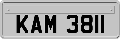 KAM3811