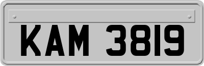 KAM3819
