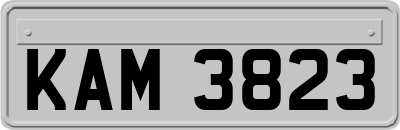 KAM3823