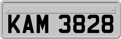 KAM3828
