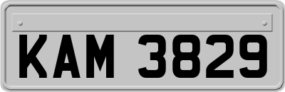 KAM3829