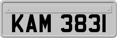KAM3831