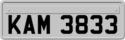 KAM3833